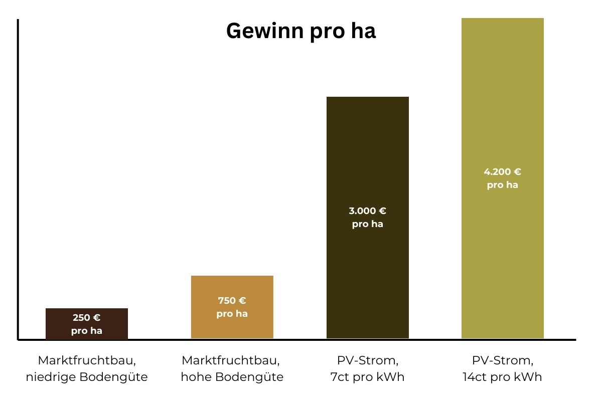 Gewinn pro Hektar: Marktfruchtbau vs. PV-Strom
